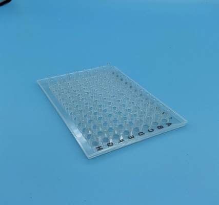 Transparent 0.1ml PCR 96 Well Semi Skirted PCR Plate